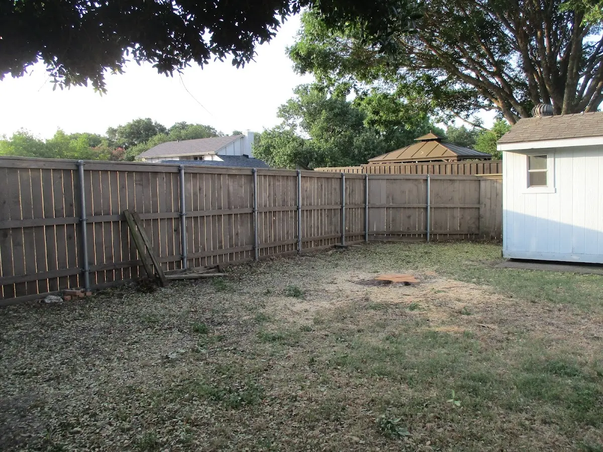 Cleared yard after professional tree removal in Max